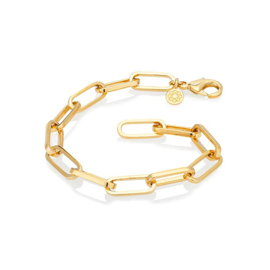 Chain of Love EMF Paperclip Bracelet